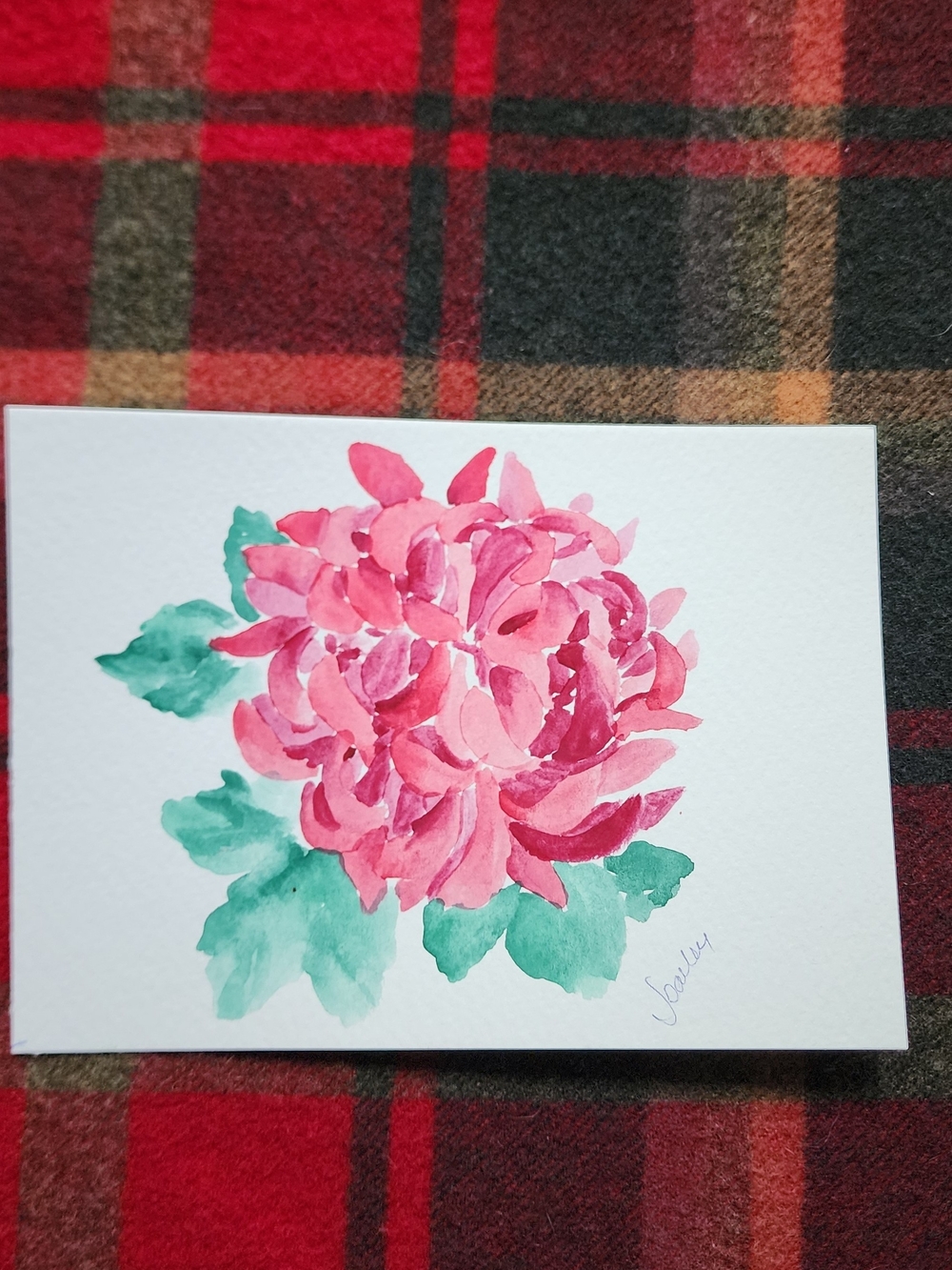 Pink Floral Watercolor Painting on White Paper